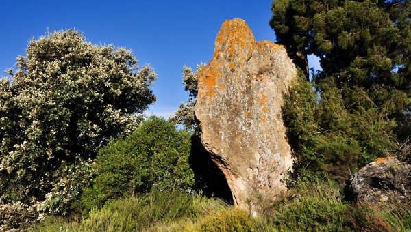 Menhir de la Peña Lacha (San Vicente)
